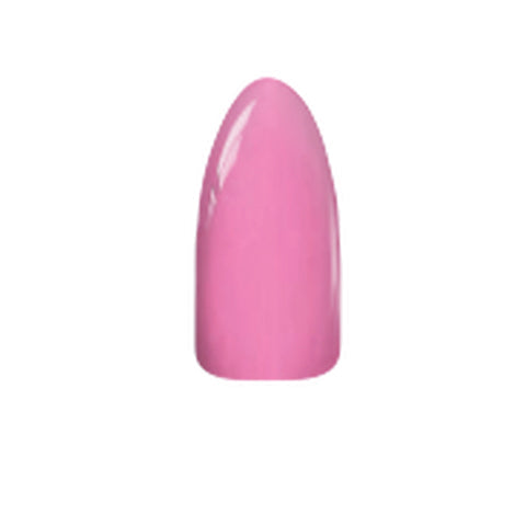 Chisel Acrylic & Dip Powder - S204